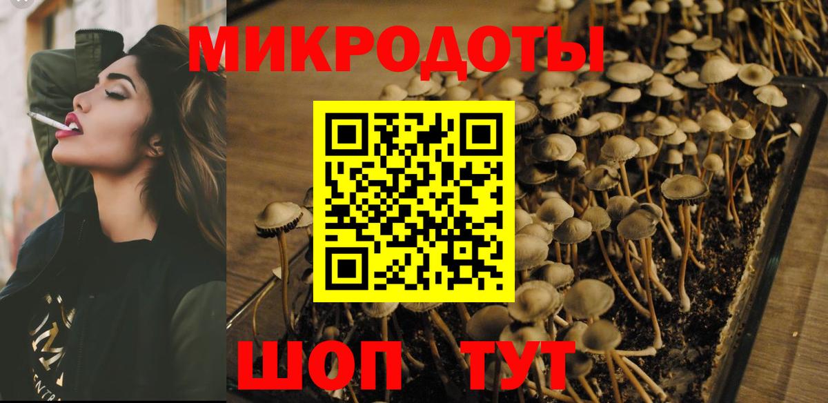 Галлюциногенные грибы Psilocybine cubensis Ефремов