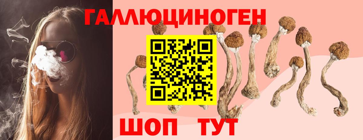 Галлюциногенные грибы мухоморы  Вход с VPN  Ефремов  Галлюциногенные грибы Magic Shrooms 